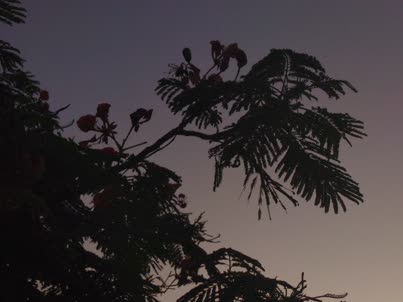 af50779689d98857bc97cf9c84a0210a